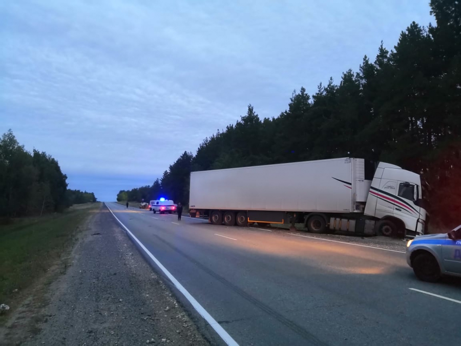 Под Татищевом на трассе водитель «ВАЗа» погиб в столкновении с фурой