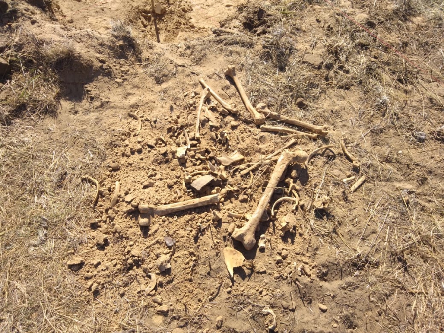 В Марксе при строительстве дома обнаружили кости человека