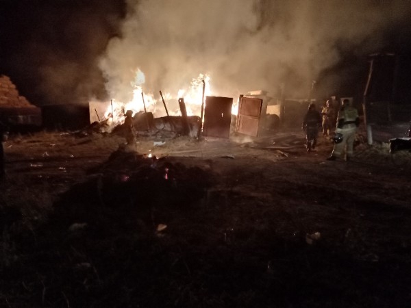 Под Энгельсом сгорели запасы соломы, поросята, корова и куры