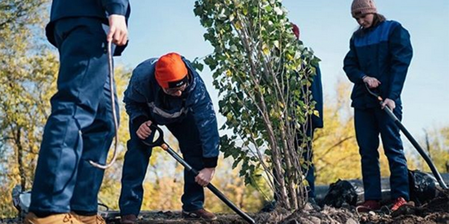 В Парке покорителей космоса высадят 1700 деревьев и 4600 кустарников