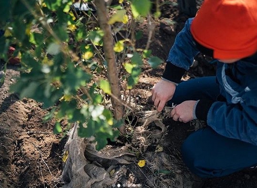В Парке покорителей космоса высадят 1700 деревьев и 4600 кустарников