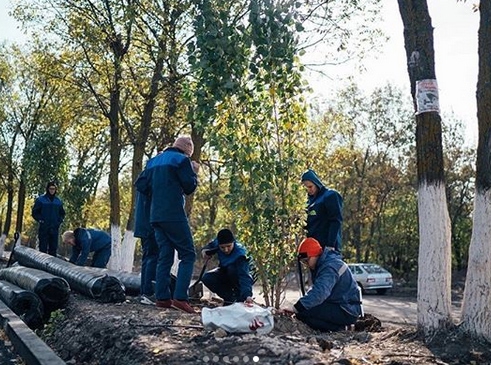 В Парке покорителей космоса высадят 1700 деревьев и 4600 кустарников