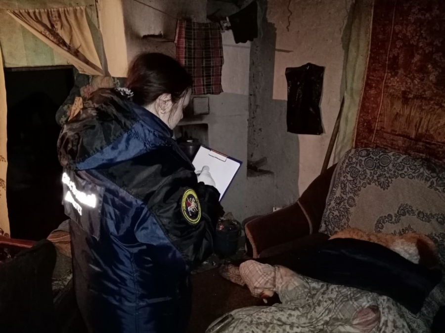 СК: Житель Аркадака убивал мужчину, его друг подсказывал и подавал оружие