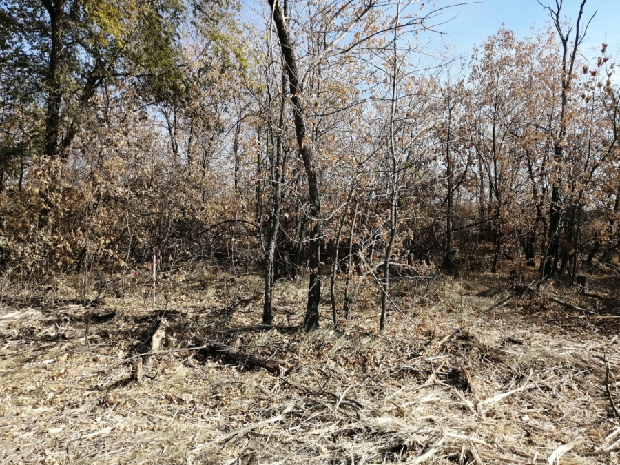 Под Энгельсом экскаваторщики обнаружили скелет человека