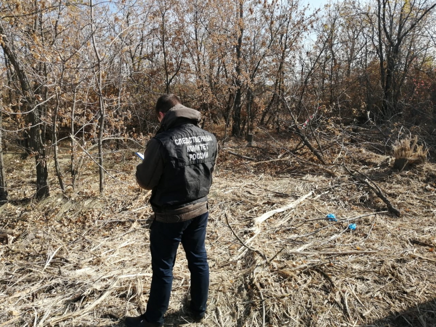 Под Энгельсом экскаваторщики обнаружили скелет человека