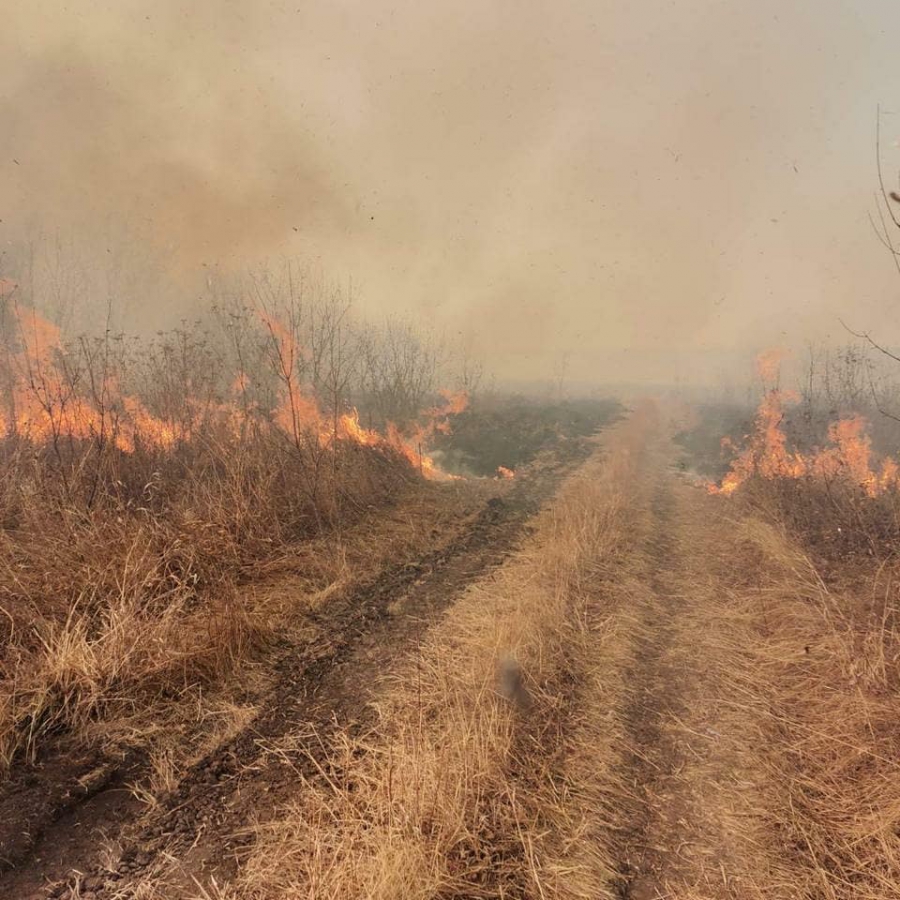 В Саратовской области продолжают бушевать 2 лесных пожара
