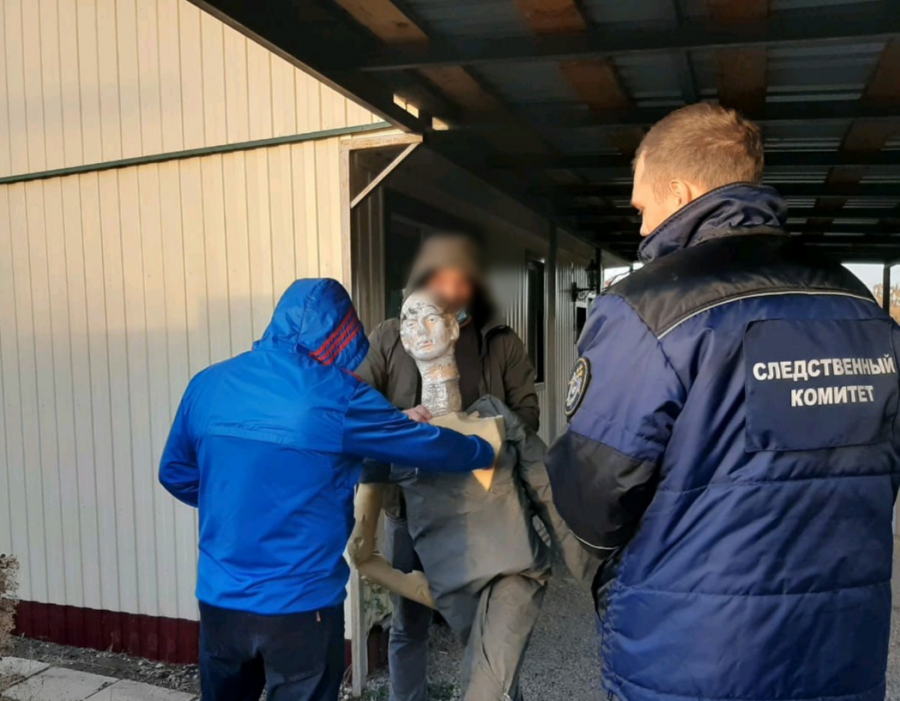 Саратовец случайно убил дачника и стал фигурантом уголовного дела