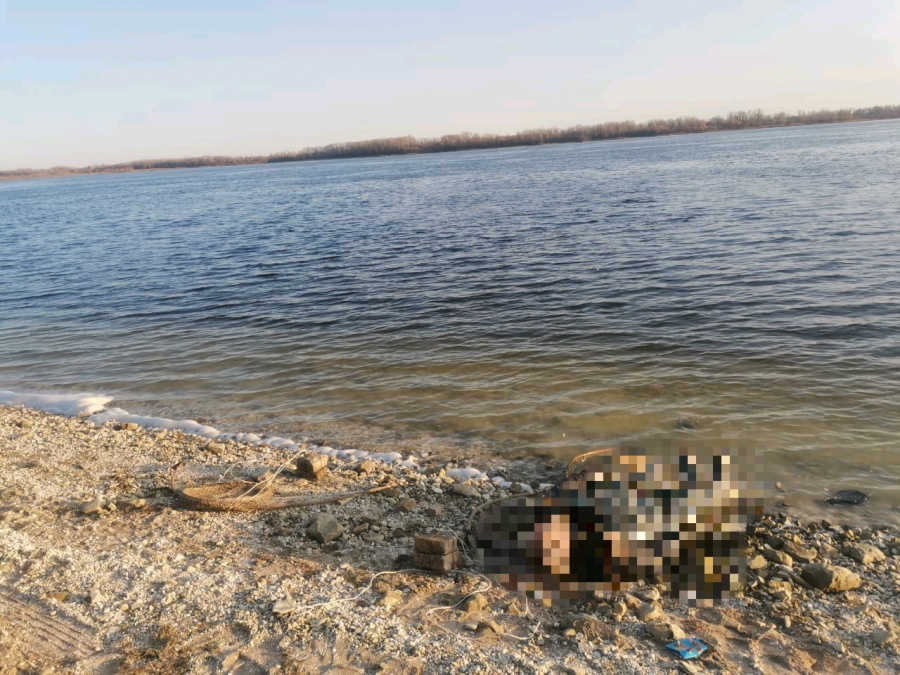 В Вольске рыбак нашел на берегу труп со снастями