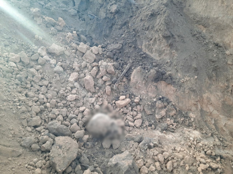 В Духовницком районе трактор вычерпал человеческий скелет