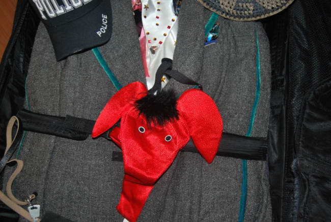 Приставы арестовали за долги стринги-слоники стриптизера