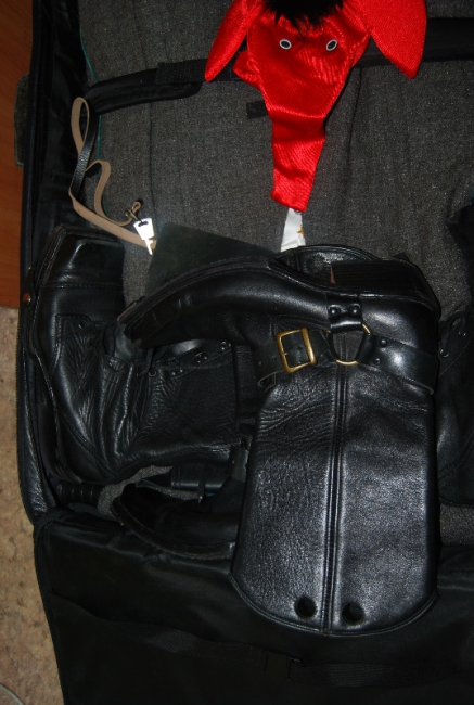 Приставы арестовали за долги стринги-слоники стриптизера