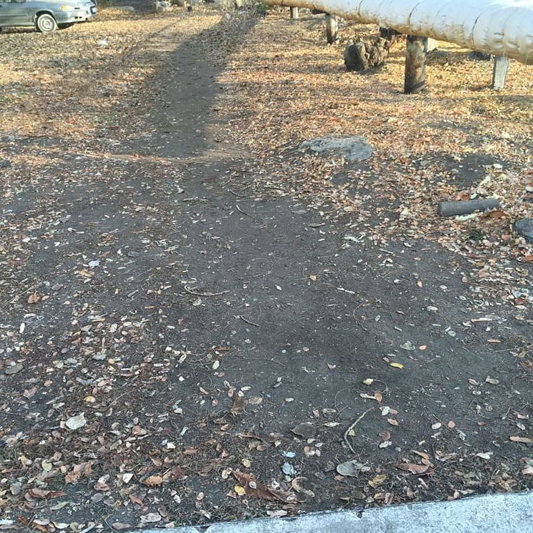 Прокуратура: В Саратове проходы к 53 образовательным учреждениям небезопасны