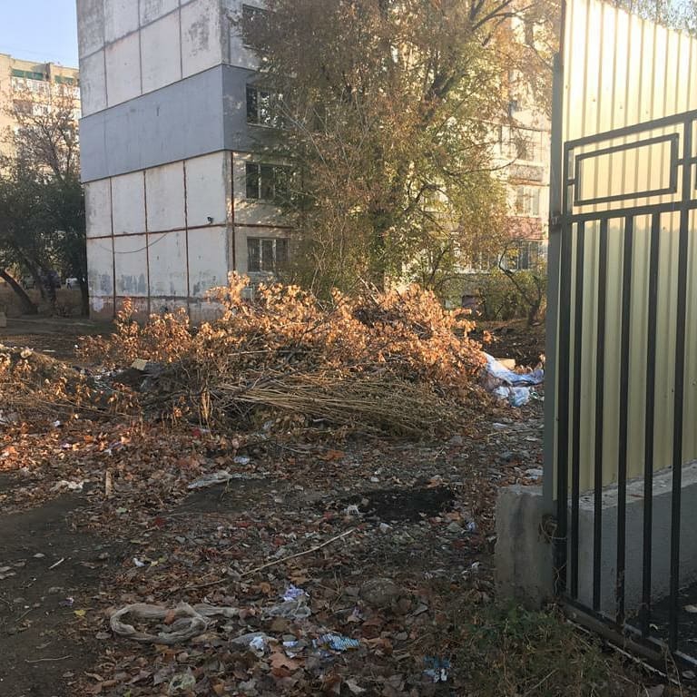 Прокуратура: В Саратове проходы к 53 образовательным учреждениям небезопасны