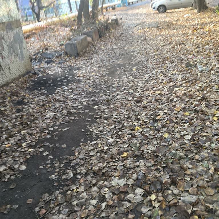 Прокуратура: В Саратове проходы к 53 образовательным учреждениям небезопасны