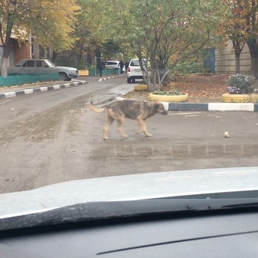 Прокуратура: В Саратове проходы к 53 образовательным учреждениям небезопасны