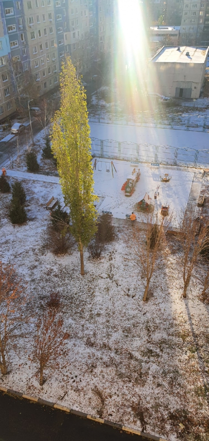 Жители Саратова увидели первый снег