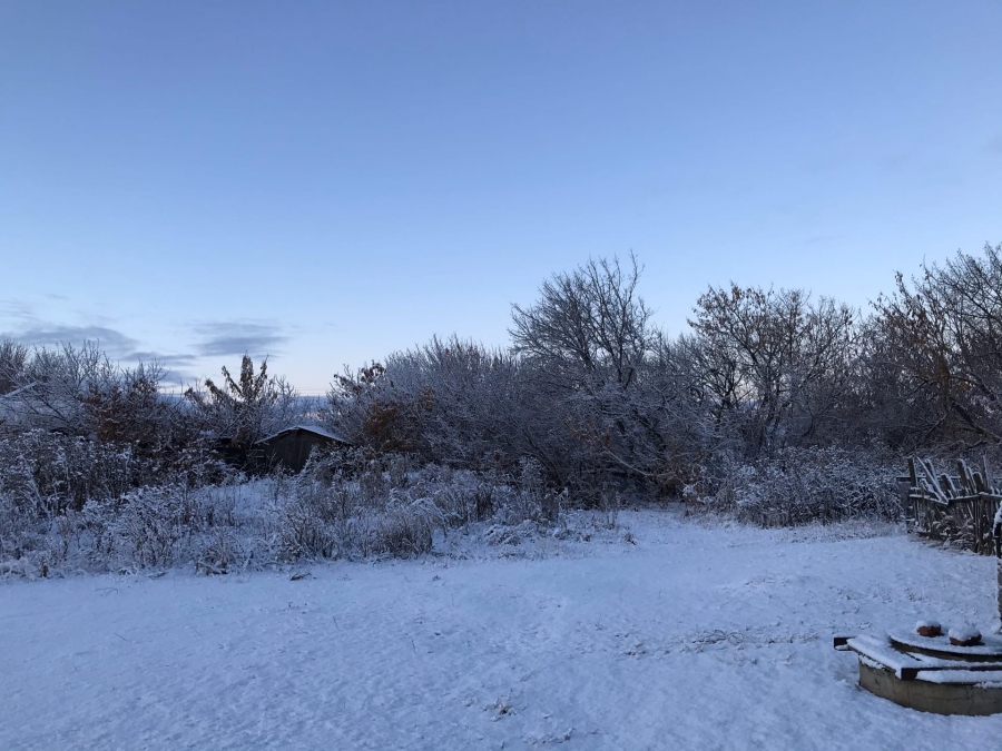 Жители Саратова увидели первый снег