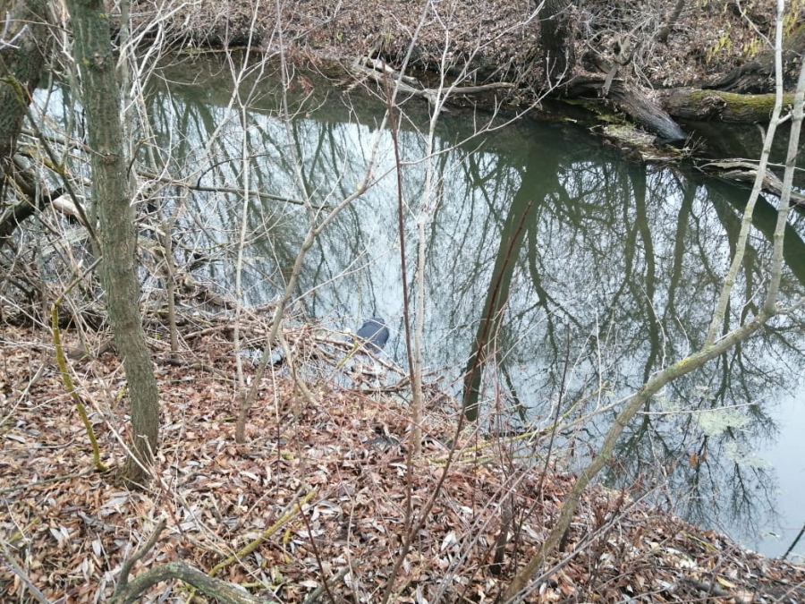 Труп пропавшего жителя Турковского района нашли в реке