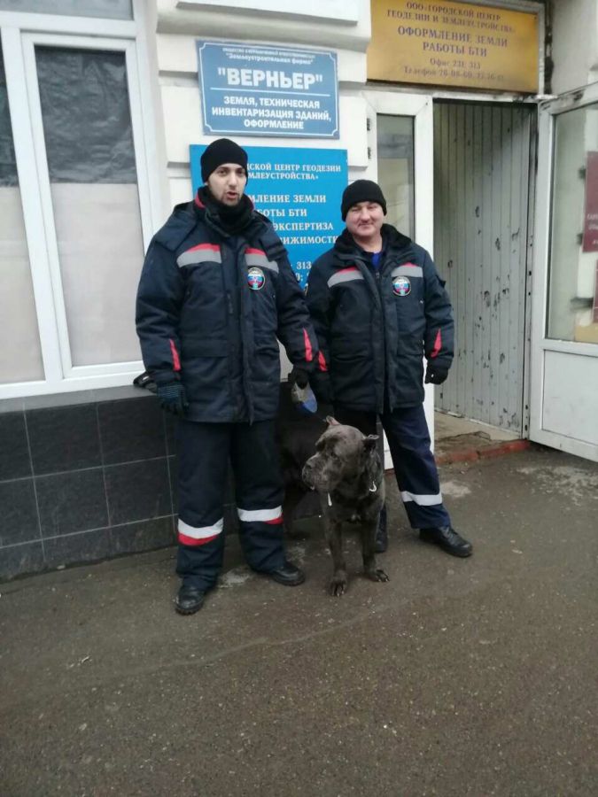 Саратовец в здании СК натравил собаку на полицейских. Вынесен приговор