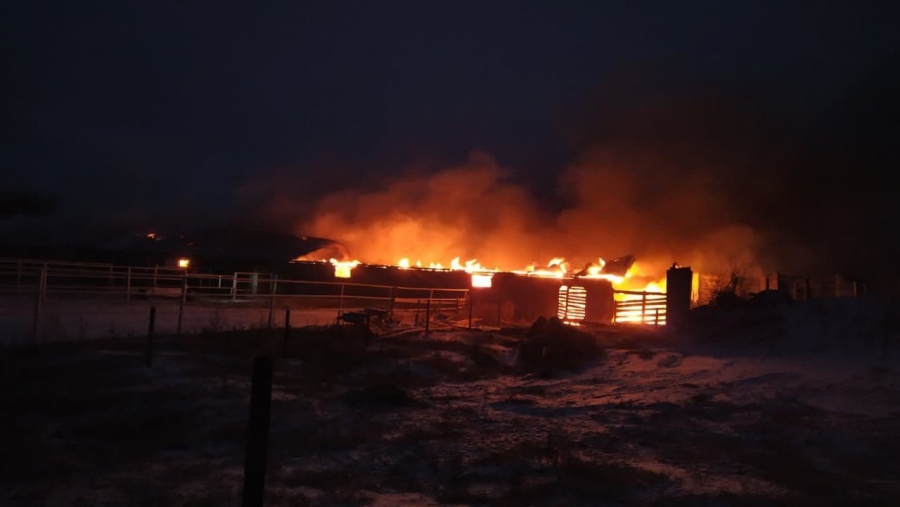 В Ивантеевке огонь охватил частную конюшню