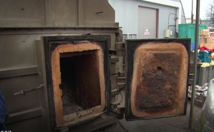 В Саратовской области сожгли 6 тонн зараженной кукурузы