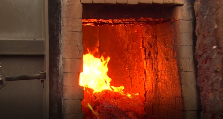 В Саратовской области сожгли 6 тонн зараженной кукурузы