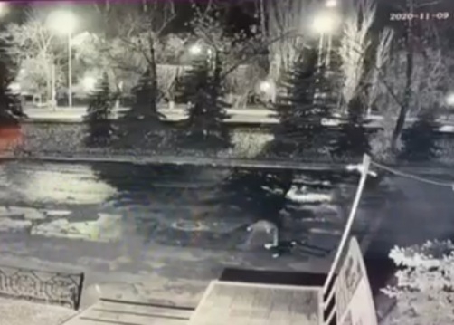 Смертельная драка у бара «Елисей» на 2-й Дачной. Ожидается суд