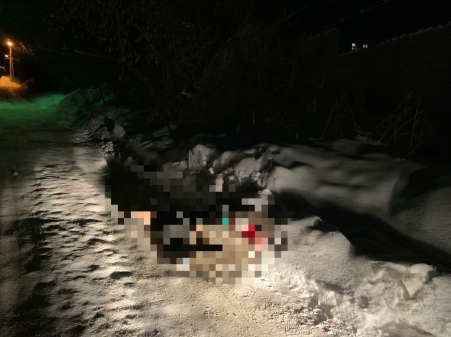 В Вольске мужчина замерз насмерть на обочине