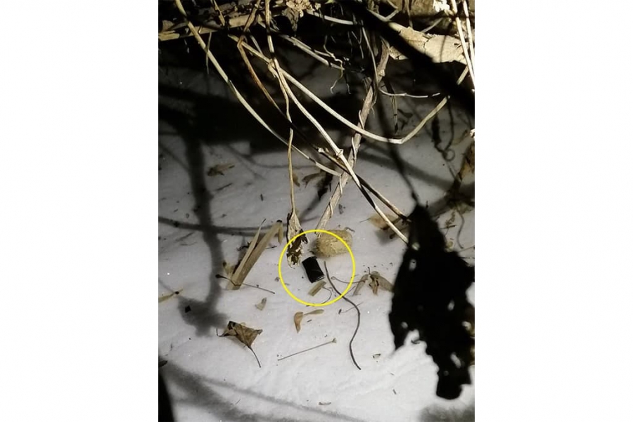 В Энгельсе поймали двух закладчиков синтетических наркотиков