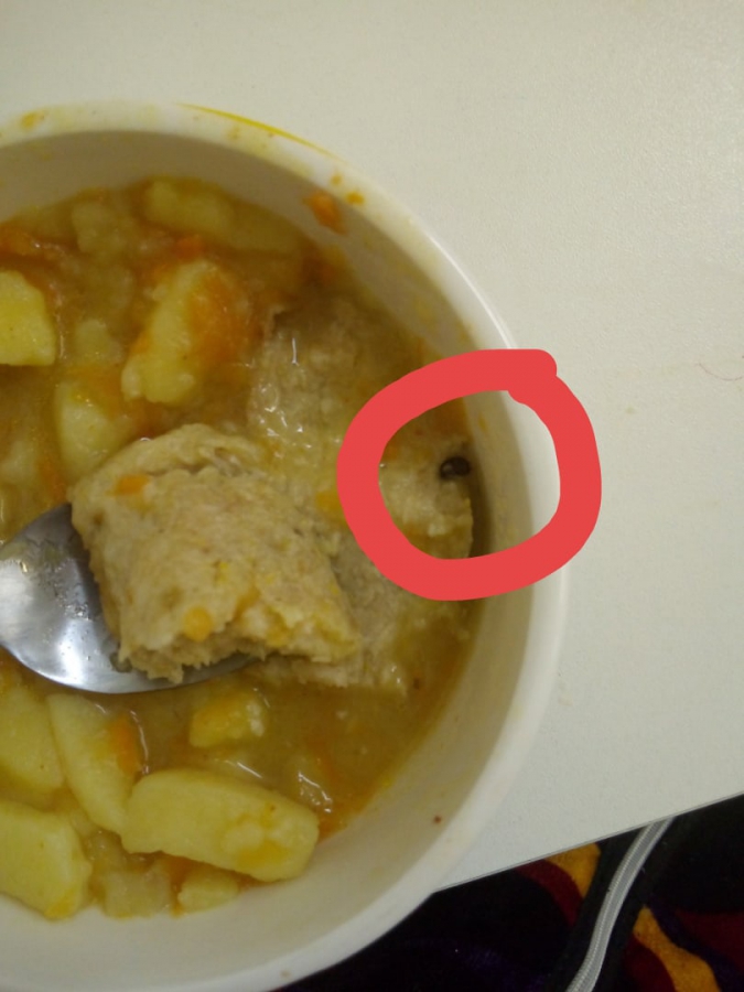 В балаковской детской больнице нашли таракана в котлете