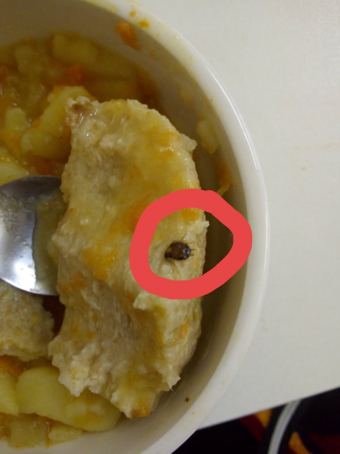 В балаковской детской больнице нашли таракана в котлете