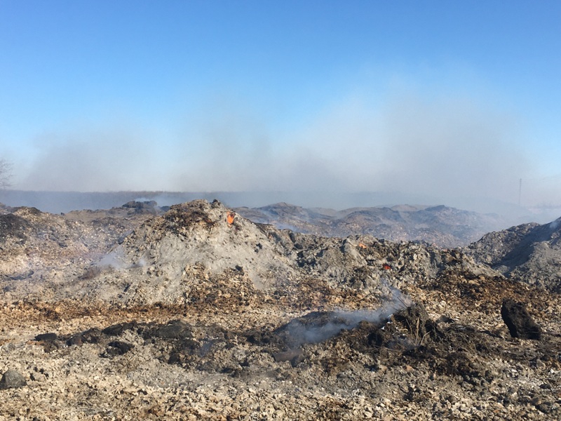 В Балаковском районе уже 10 дней тлеет лузга