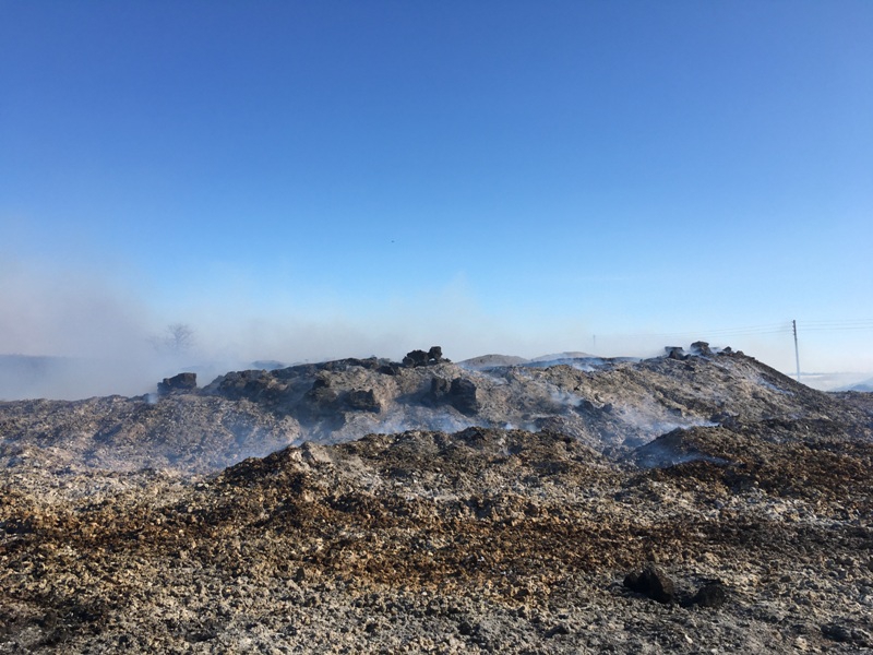 В Балаковском районе уже 10 дней тлеет лузга
