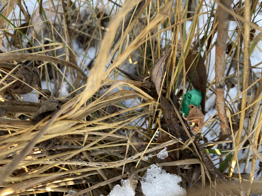 Двух саратовцев осудят за сбыт наркотиков в нескольких регионах