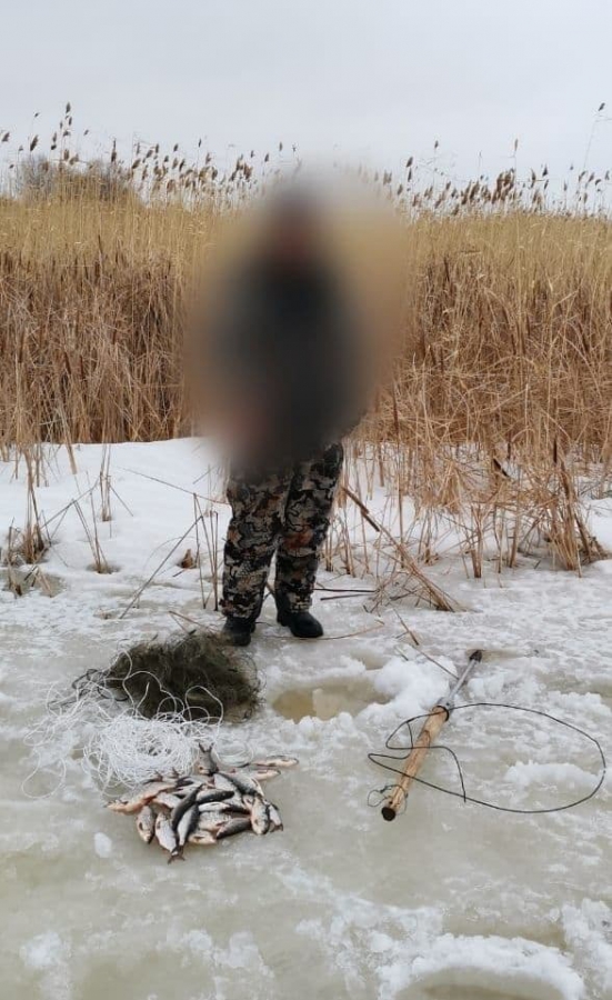 В Энгельсском районе трех рыбаков задержали за браконьерство