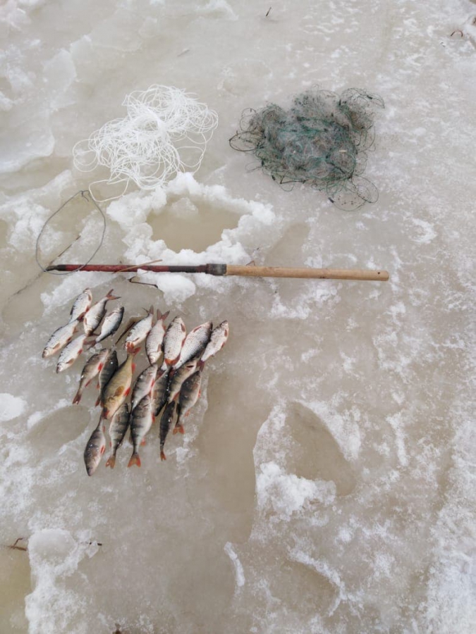 В Энгельсском районе трех рыбаков задержали за браконьерство