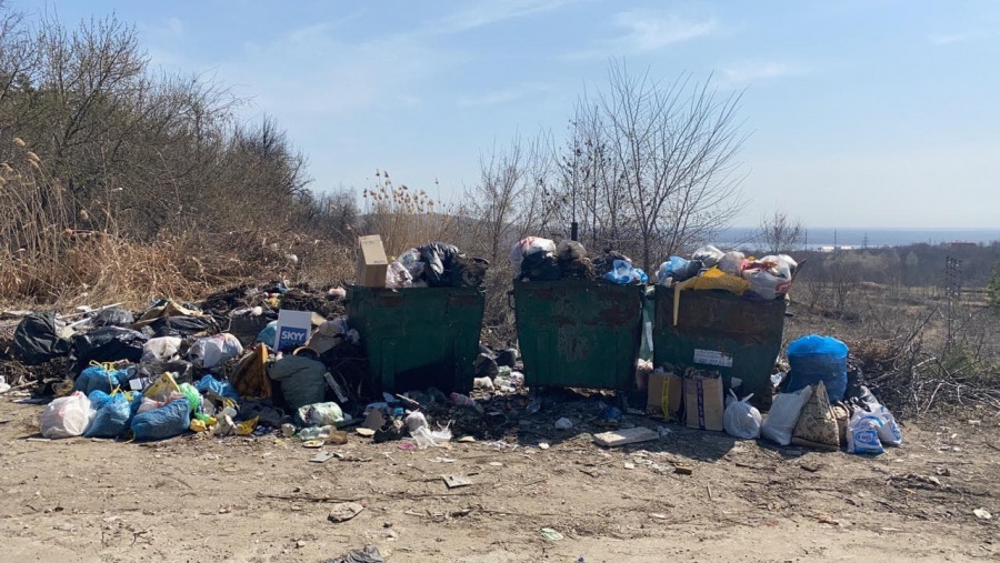 Панков о вывозе мусора: Решение может быть правильным, а исполнение – небрежным