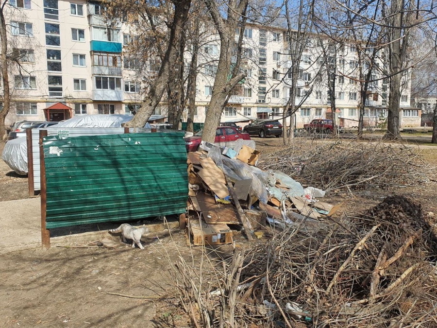 Панков о вывозе мусора: Решение может быть правильным, а исполнение – небрежным