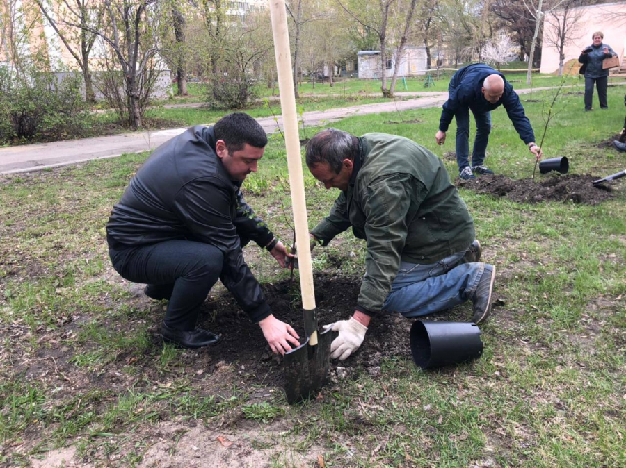 На территории первой городской больницы в Саратове появилась «Аллея поколений»