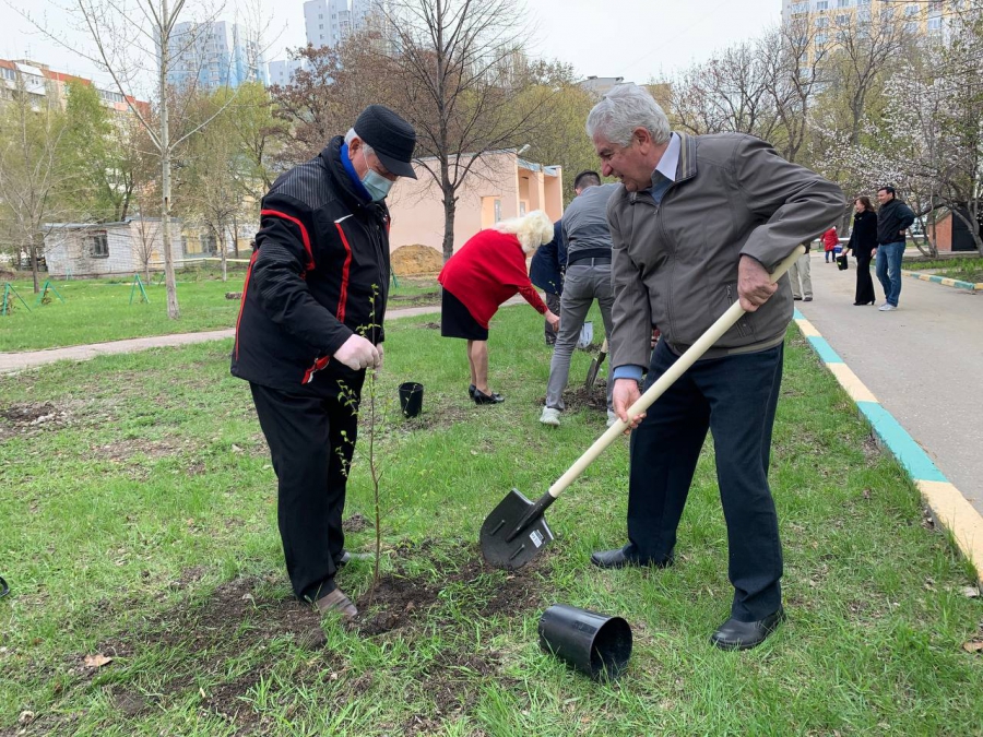 На территории первой городской больницы в Саратове появилась «Аллея поколений»