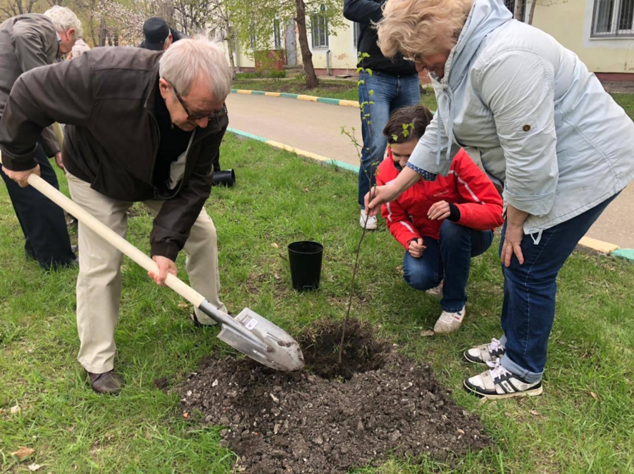 На территории первой городской больницы в Саратове появилась «Аллея поколений»