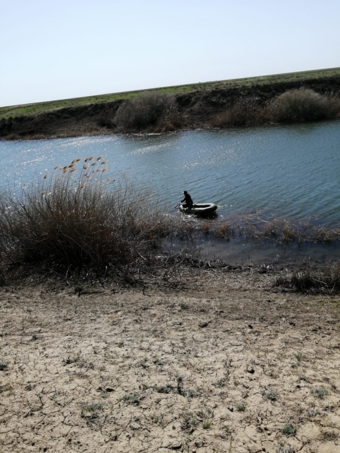 Под Новоузенском браконьеры выловили 40 кг рыбы и более 400 раков