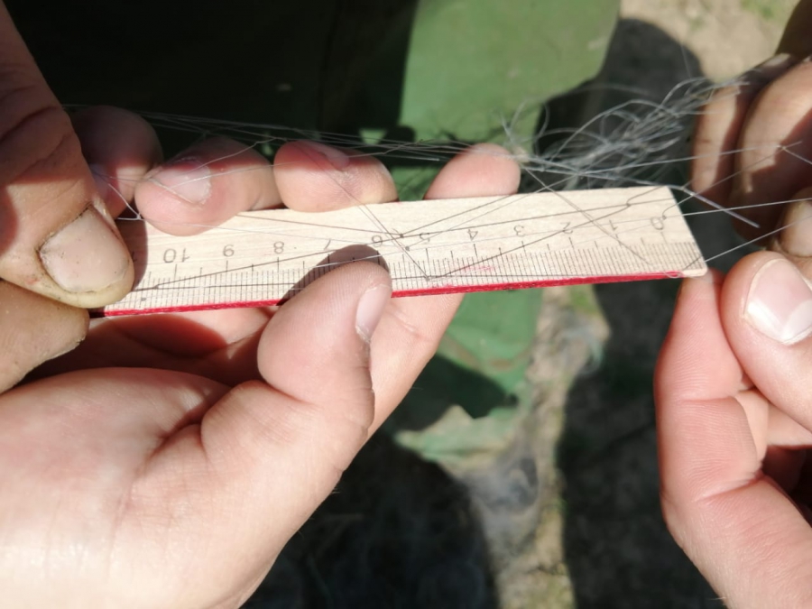 Под Новоузенском браконьеры выловили 40 кг рыбы и более 400 раков