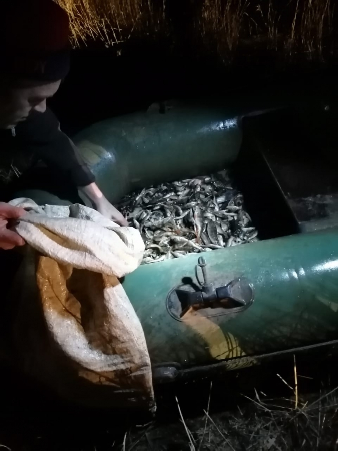Под Новоузенском браконьеры выловили 40 кг рыбы и более 400 раков