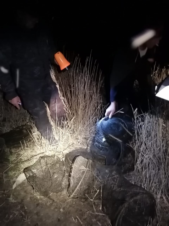 Под Новоузенском браконьеры выловили 40 кг рыбы и более 400 раков