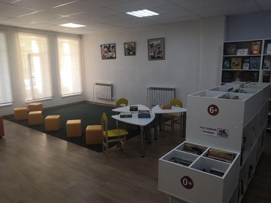 Депутат Рогожин призвал изыскать дополнительное финансирование на пополнение сельских библиотечных фондов