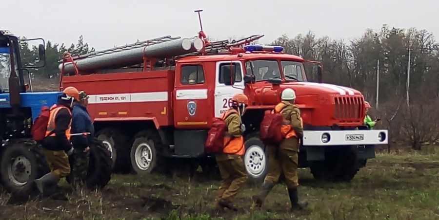 Под Балаковом остановили лесной пожар возле детского лагеря