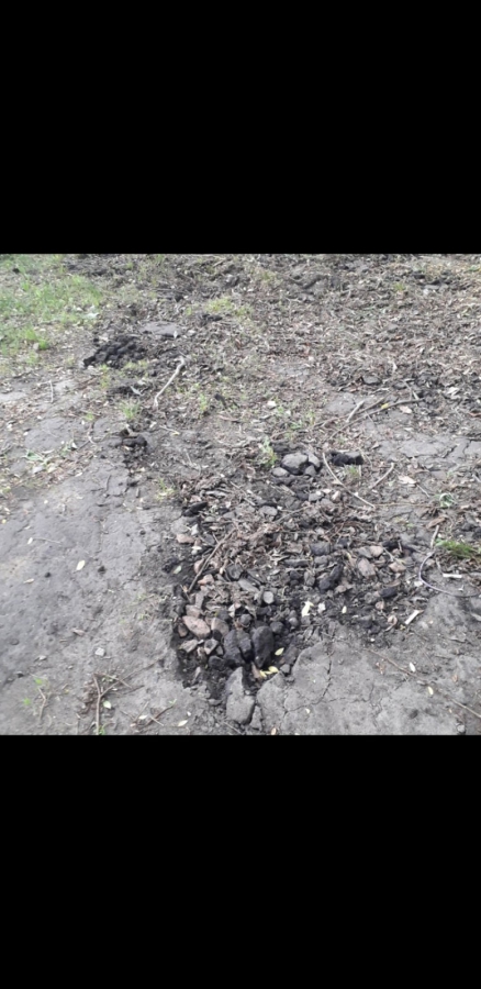 В Светлом коммунальщики разрушили асфальт на набережной во время уборки