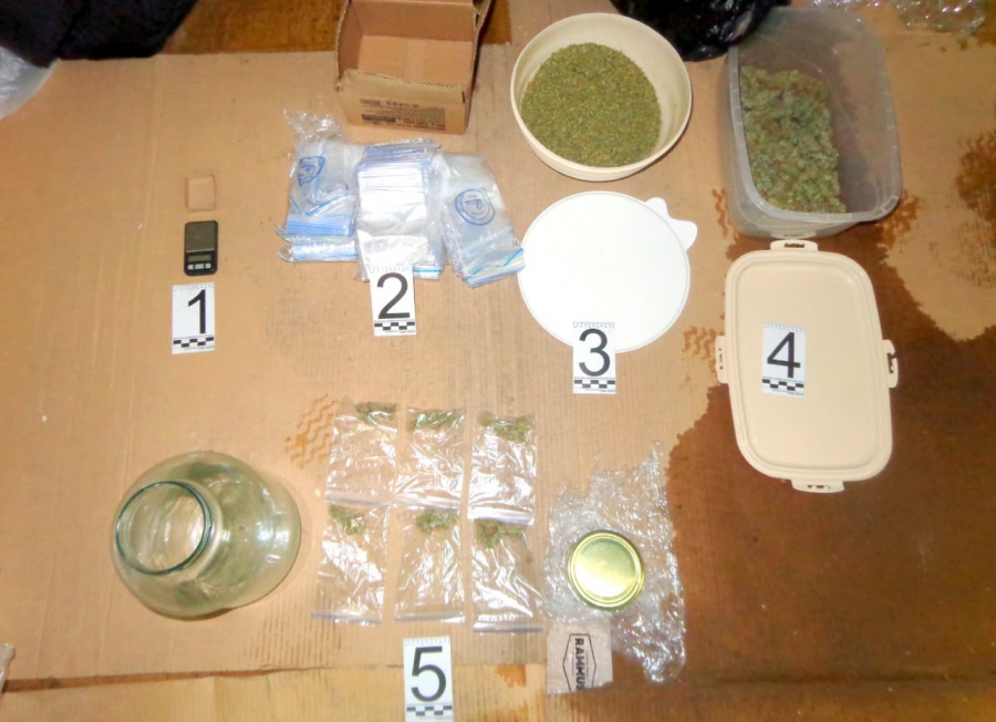 Саратовцу грозит до 10 лет колонии за выращивание конопли у себя дома