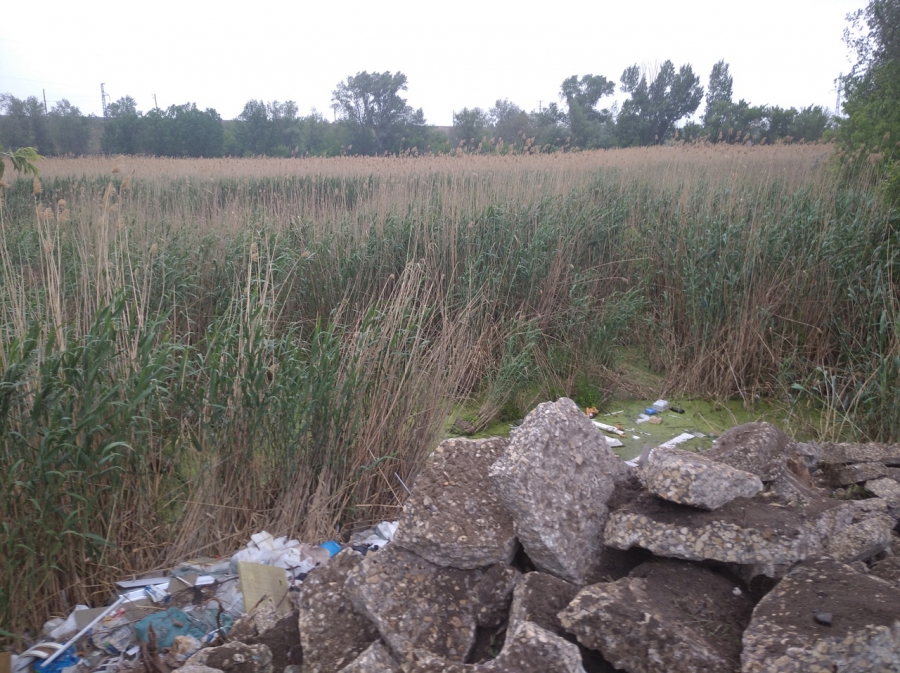 В Балакове возле озера устроили свалку из демонтированных тротуаров